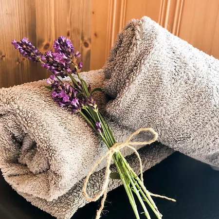 Apartment Gemuetliche In Niederpoyritz Mit Garten By Interhome Dresden